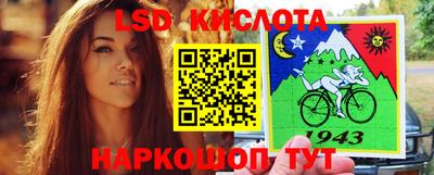 стафф Лесосибирск