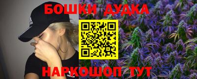 стафф Лесосибирск
