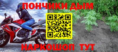 стафф Лесосибирск