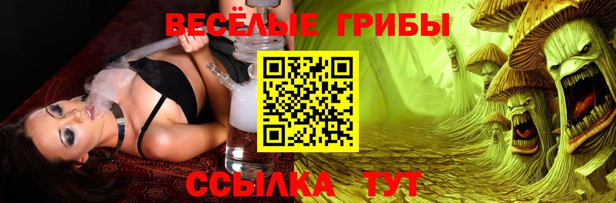 Галлюциногенные грибы Cubensis  Псилоцибиновые грибы MAGIC MUSHROOMS  Вход с VPN  Чита 