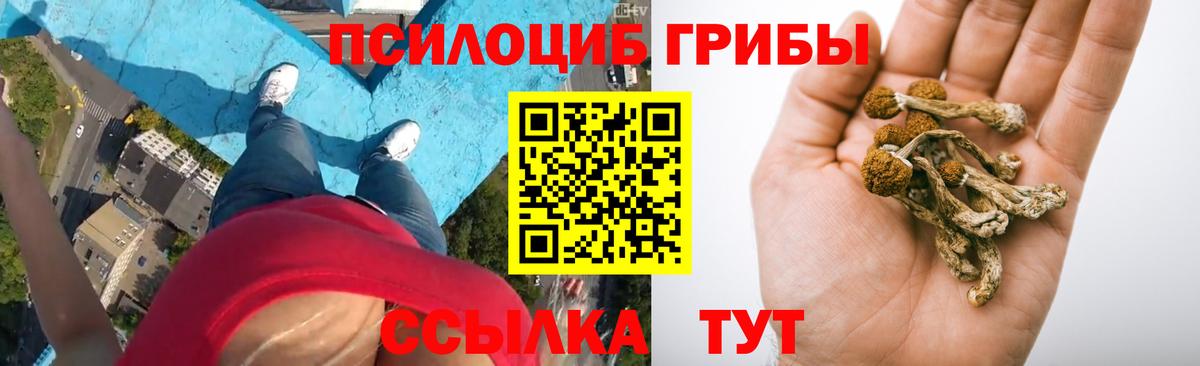 Галлюциногенные грибы MAGIC MUSHROOMS Чита